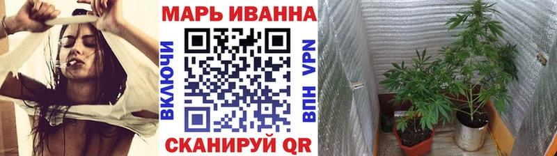 Бошки марихуана SATIVA & INDICA  купить наркоту  Шилка 